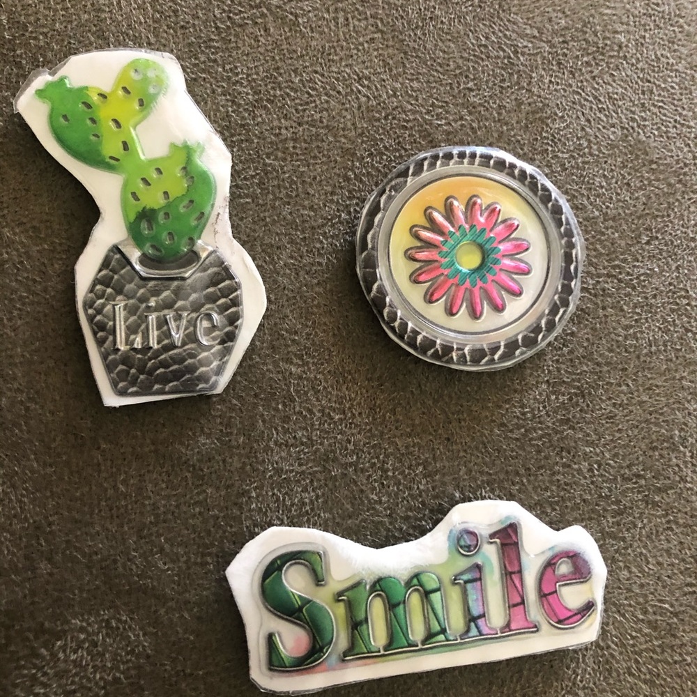 Succulent magnet set - Picture 5 of 6